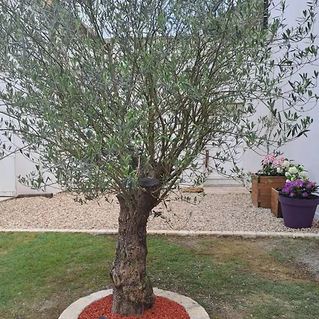 Maison Depaysante Au Calme Angouleme בית נופש *