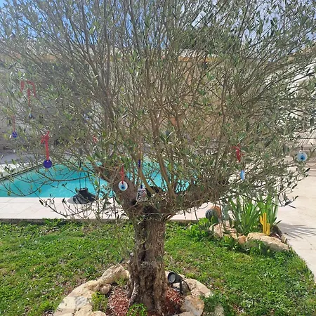 Maison Depaysante Au Calme Angouleme